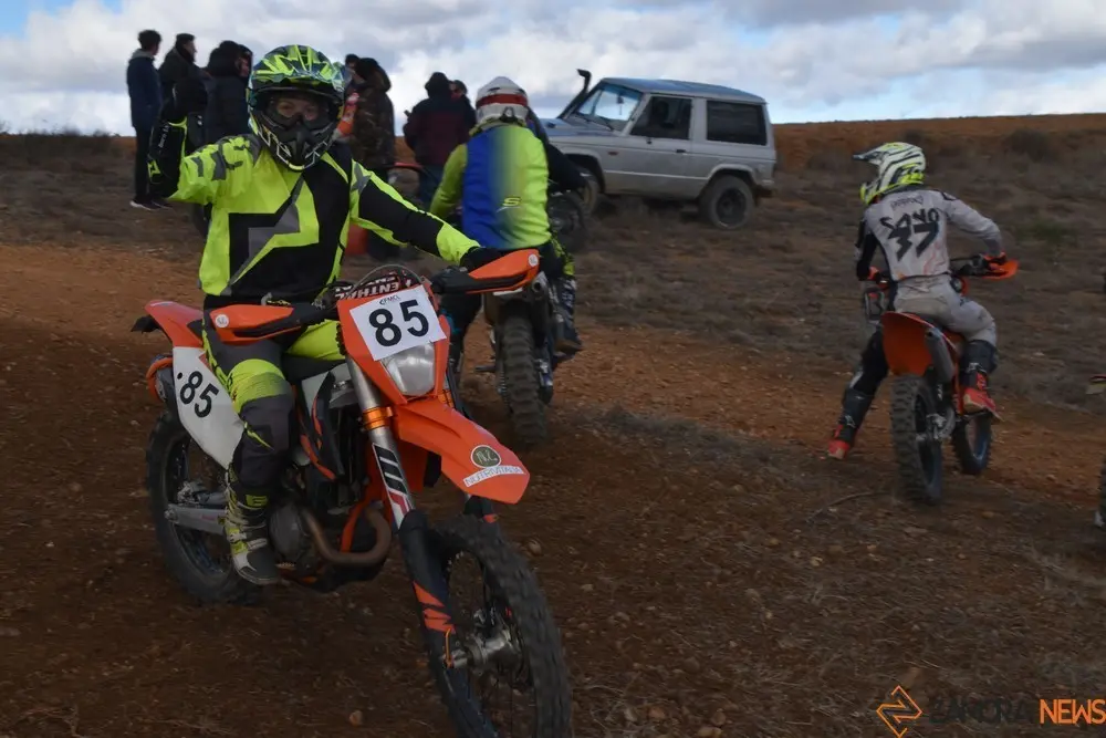 cross country coreses algodre diputación zamora (527)
