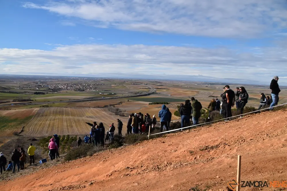 quads Diputación  (447)