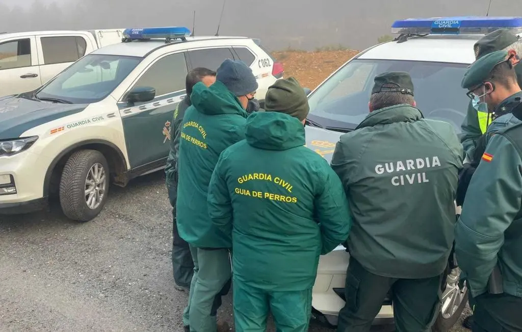 Batida profesional búsqueda desaparecido