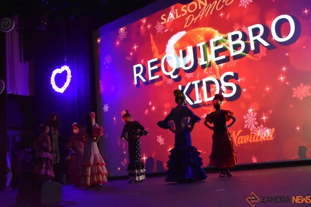 salson navidad (29)