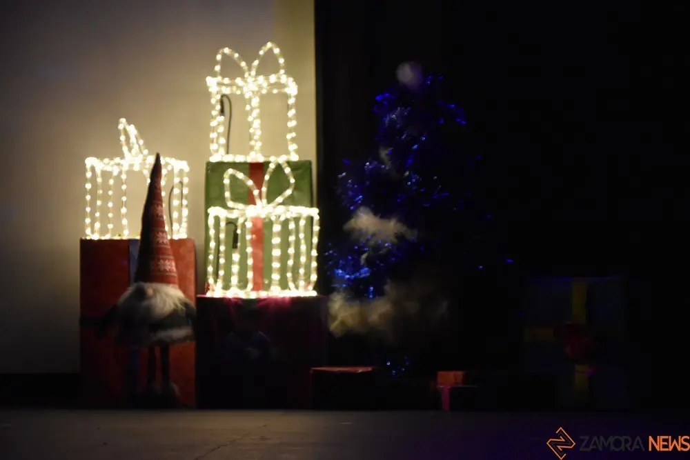 salson navidad (30)
