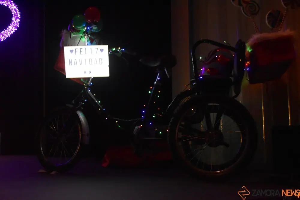 salson navidad (31)