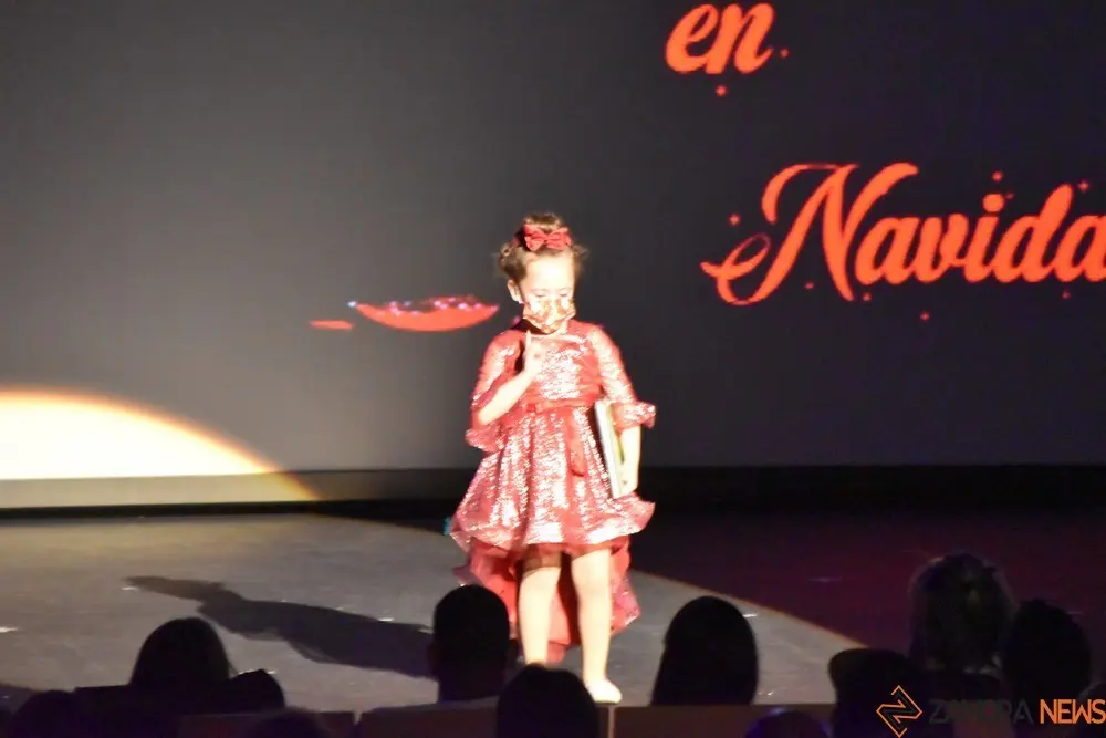 salson navidad (76)