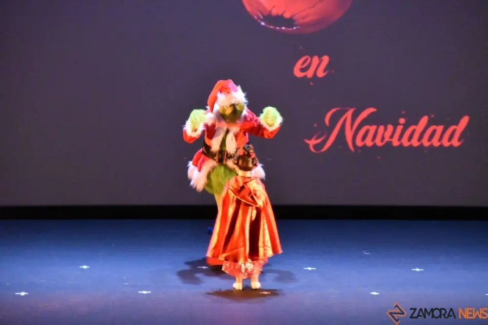 salson navidad (80)