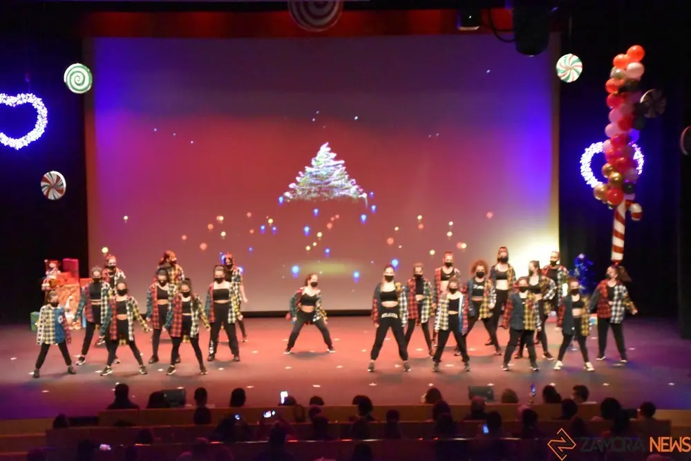 salson navidad (90)