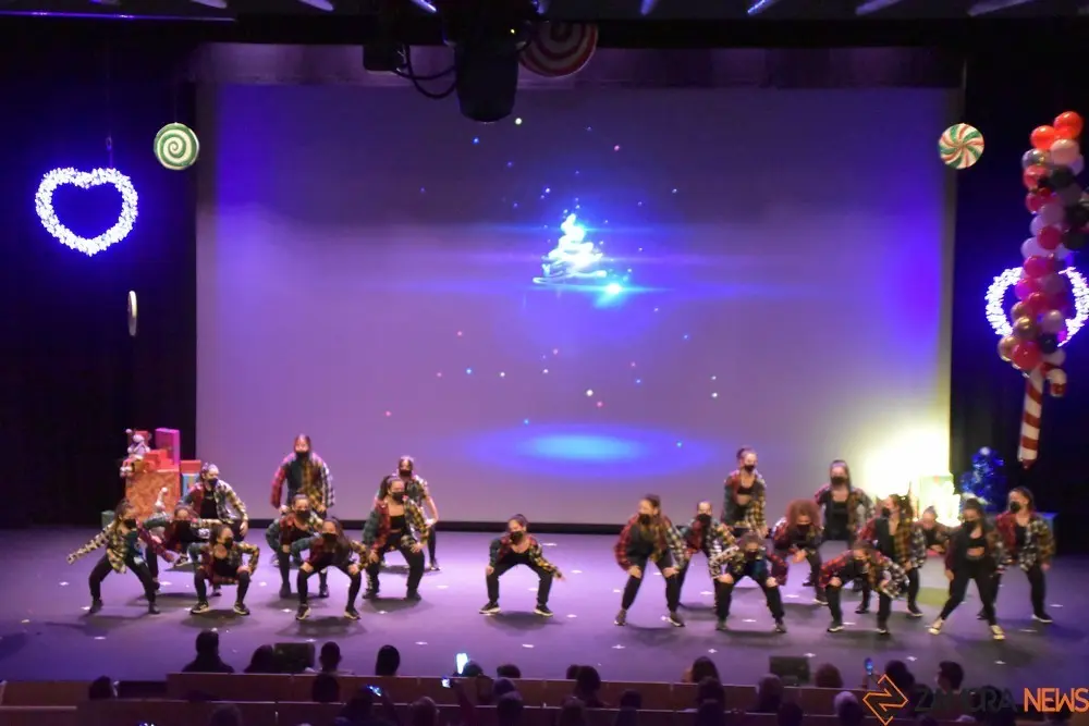 salson navidad (91)