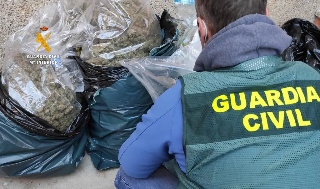 Intervencion marihuana Zamora