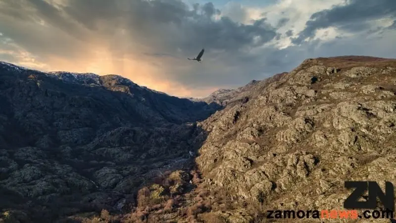 Cañón del Tera
