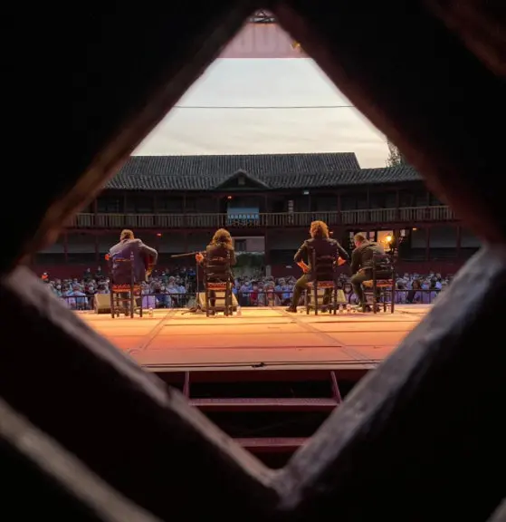 flamenco en toro