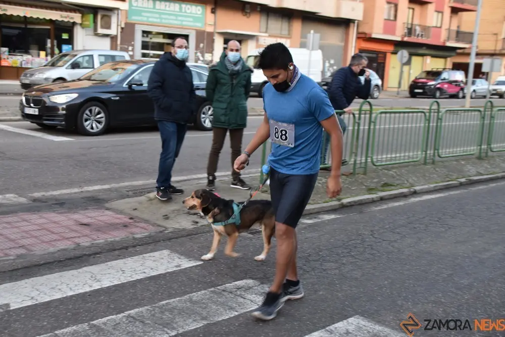 san silvestre Toro  (55)