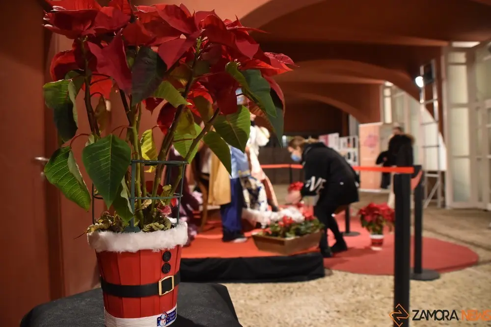 reyes magos toro  (5)