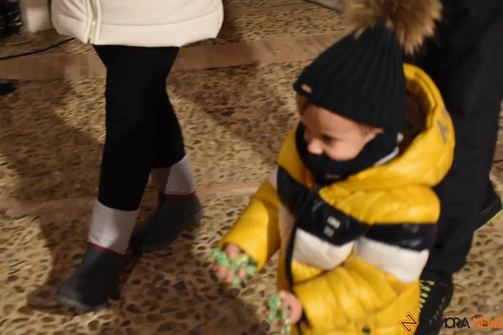 reyes magos toro  (25)