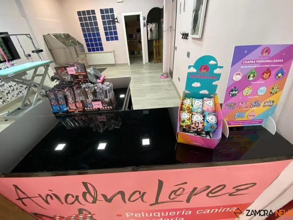 ariadna lópez peluquería canina (7)
