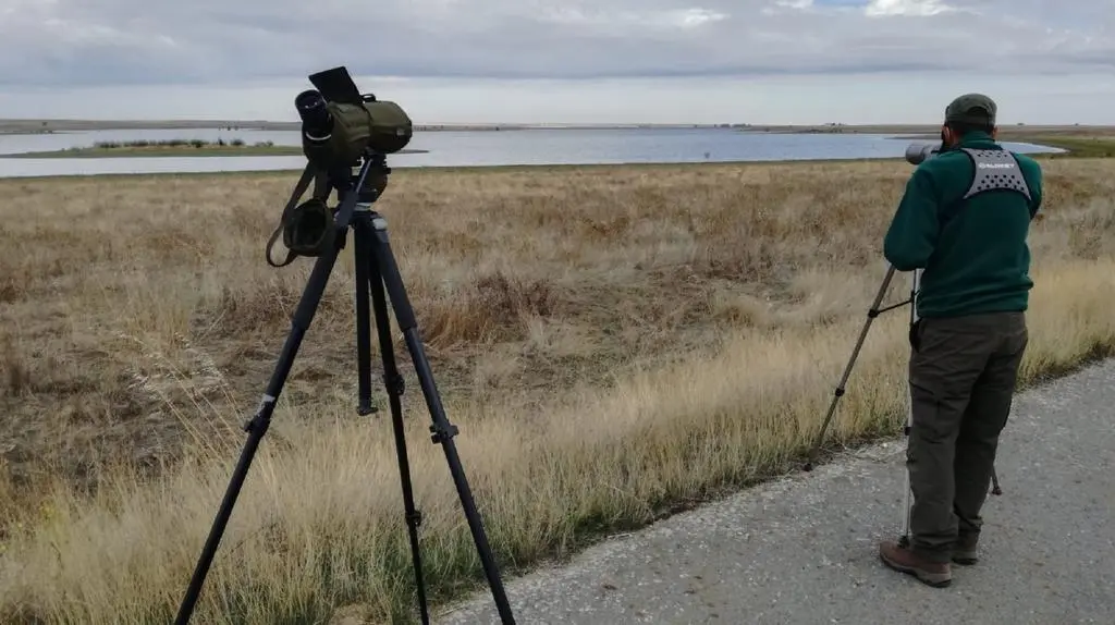 Observación aves acuáticas en humedales de CyL
