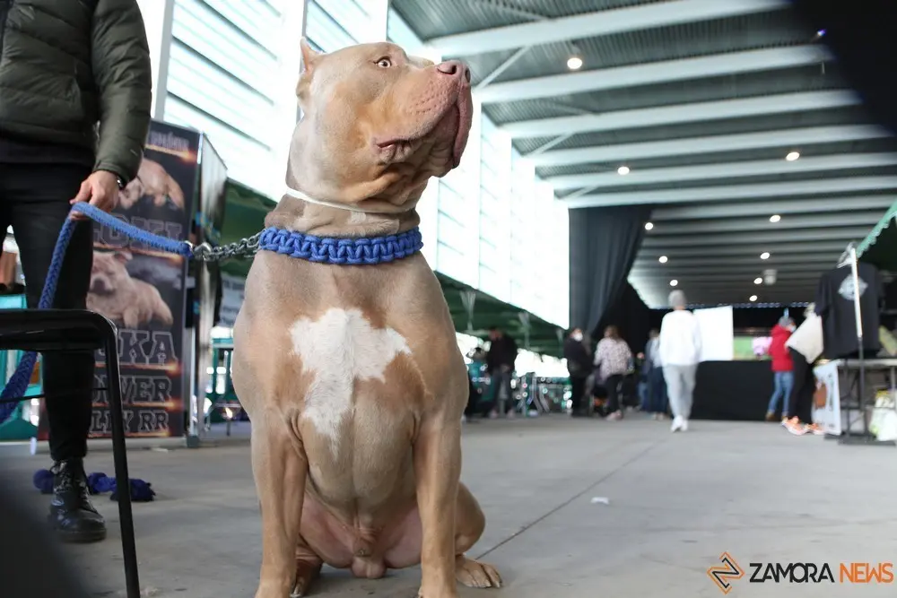 euronationals2022 (1)