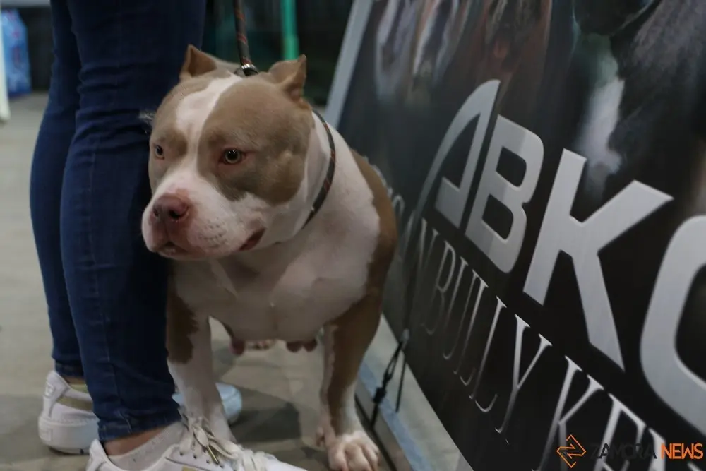 euronationals2022 (7)