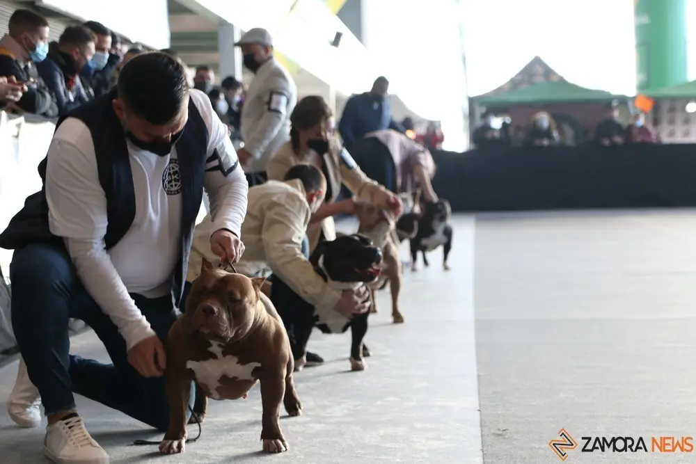 euronationals2022 (8)