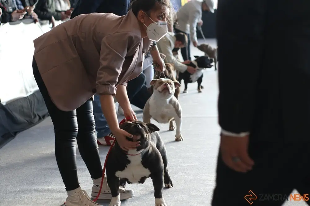 euronationals2022 (13)