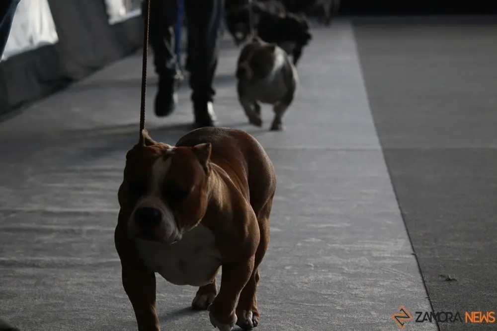 euronationals2022 (16)