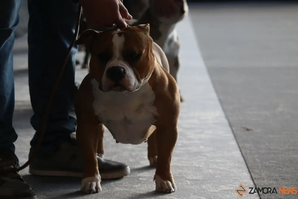 euronationals2022 (17)