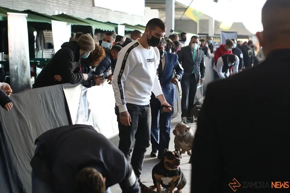 euronationals2022 (19)