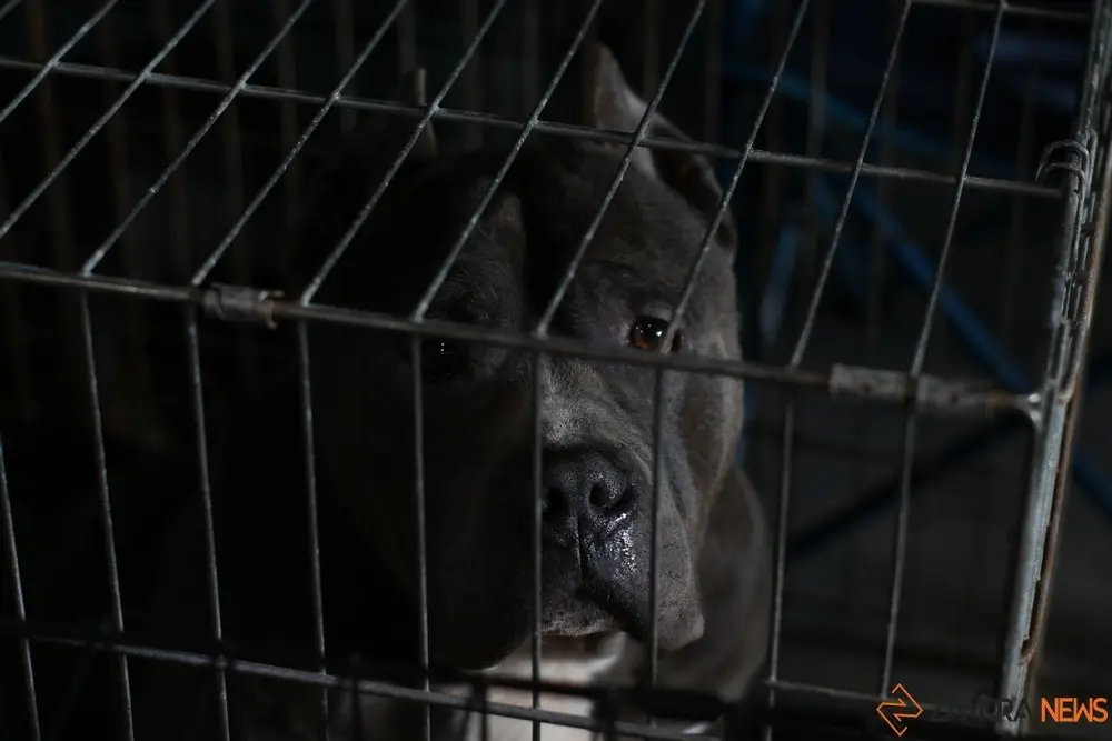 euronationals2022 (20)