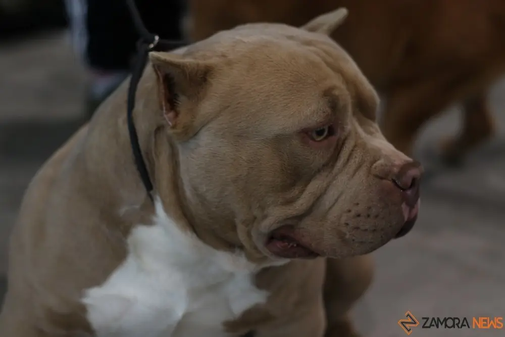 euronationals2022 (21)