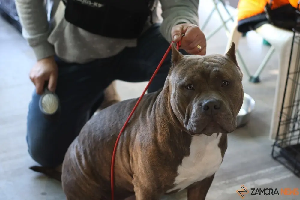 euronationals2022 (22)