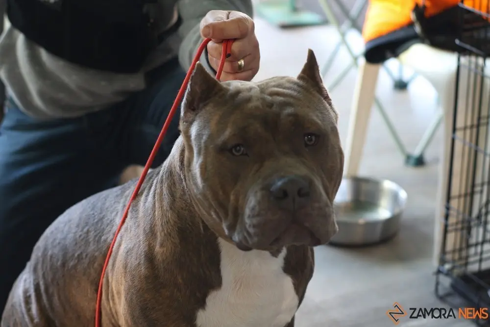 euronationals2022 (23)