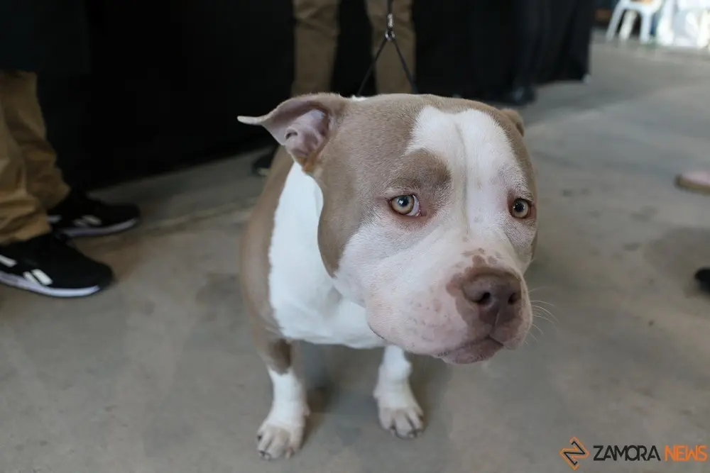 euronationals2022 (27)