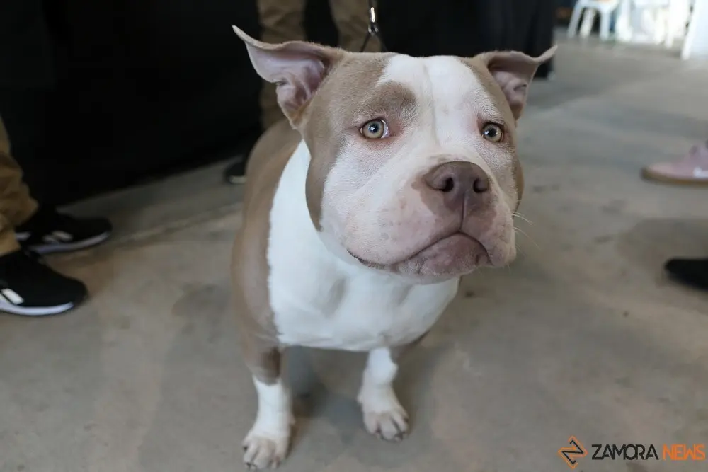 euronationals2022 (28)