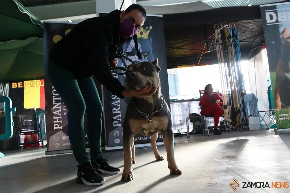 euronationals2022 (31)