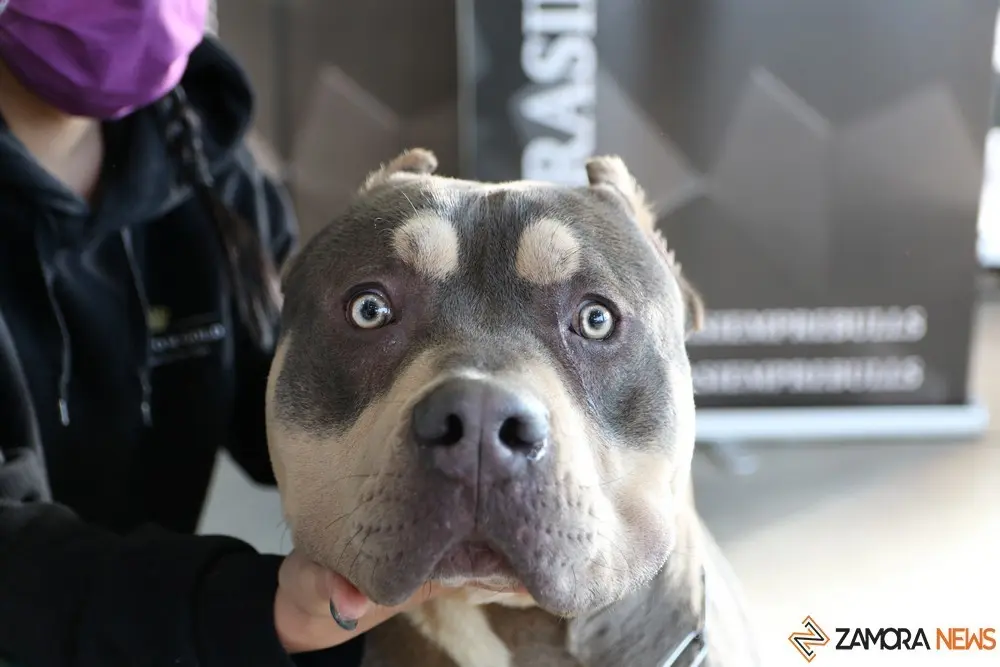 euronationals2022 (34)