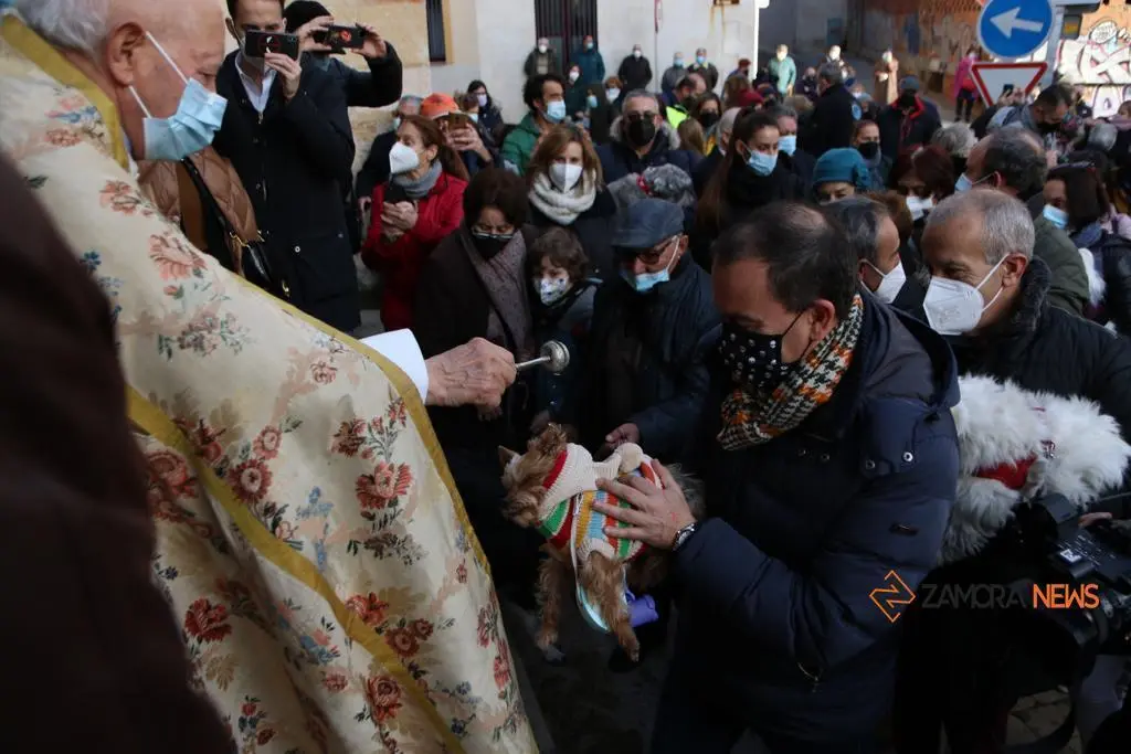 Bendición de animales por la festividad de San Antón. | FOTO: Marcos Vicente