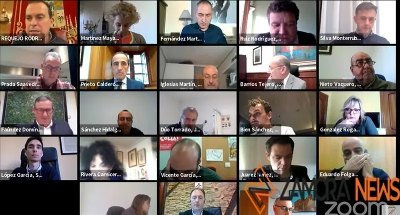 Pleno "virtual" de la Diputación de Zamora