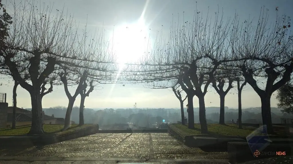 Mirador plaza de Claudio Moyano