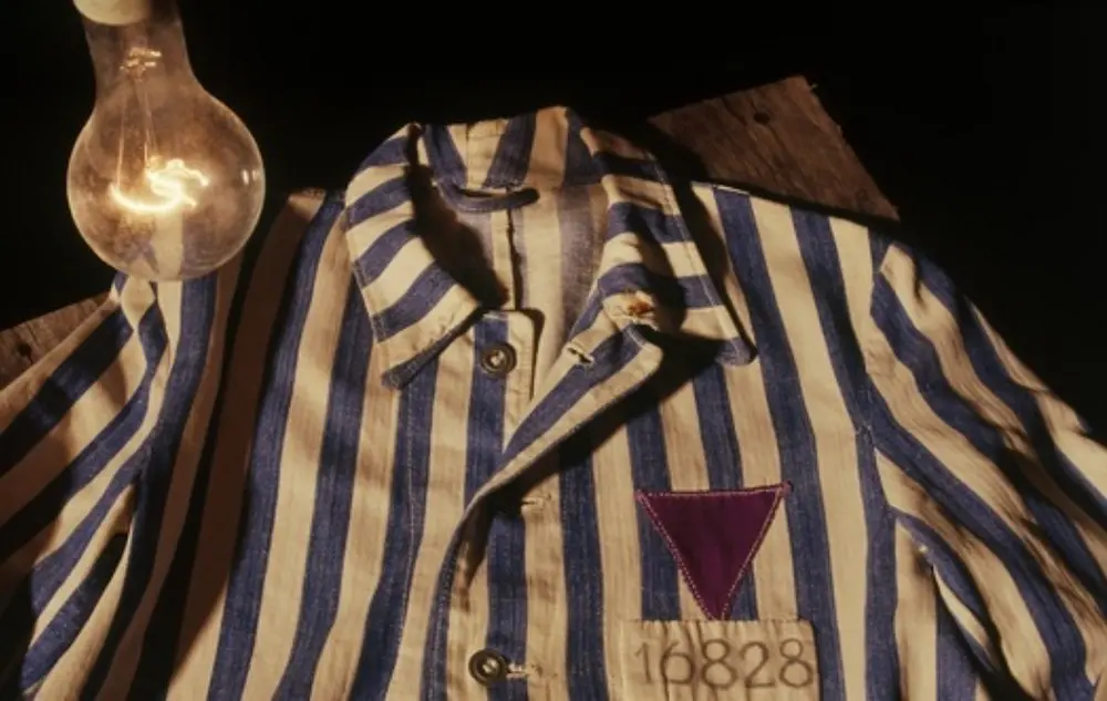 Uniforme triángulo púrura