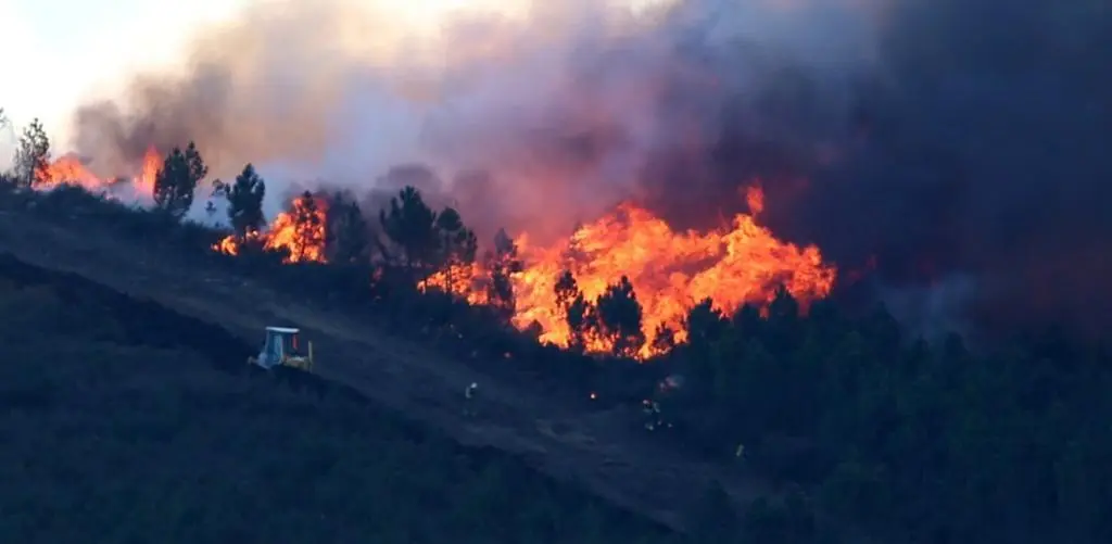 fuego hermisende cerca