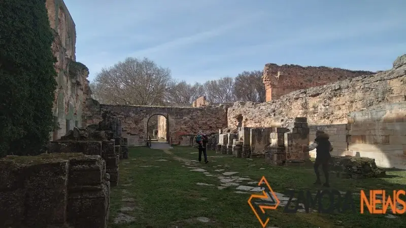 WhatsApp Image 2022-02-07 at 14.11.46 (2)