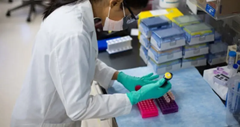 Una sanitaria en un laboratorio. Foto Ecyl