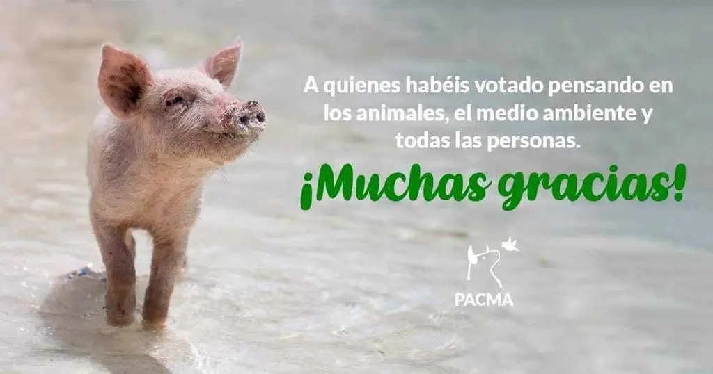 Cartel de agradecimiento electoral de PACMA