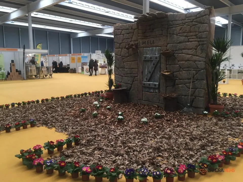 III Feria Internacional Apícola (13)