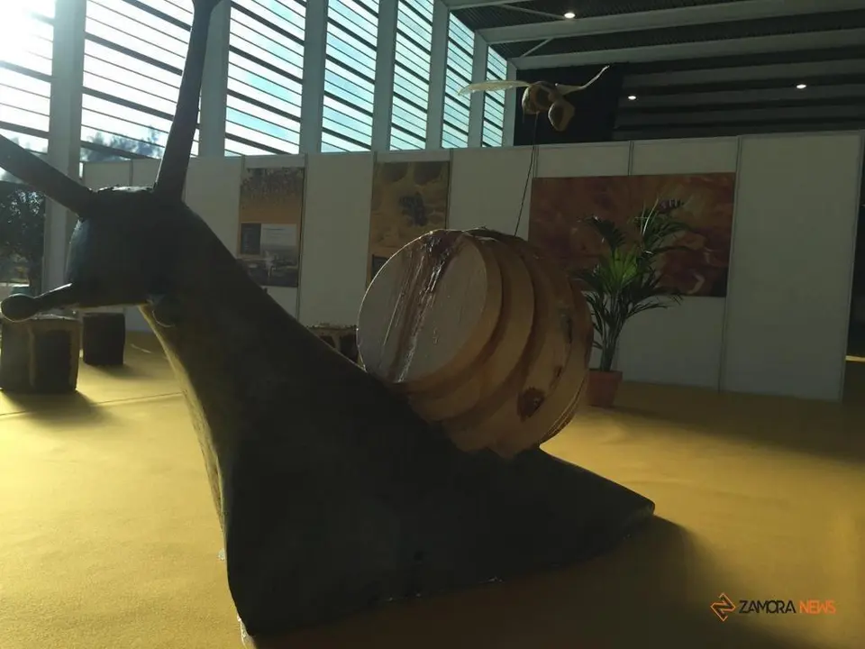 III Feria Internacional Apícola (1)