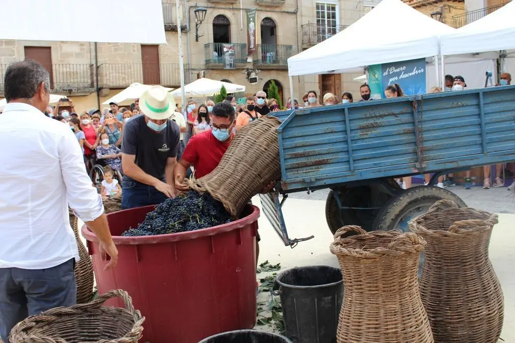 Fiesta de la Vendimia organizada en agosto de 2021. Fotografía: Fermoselle Villa del Vino