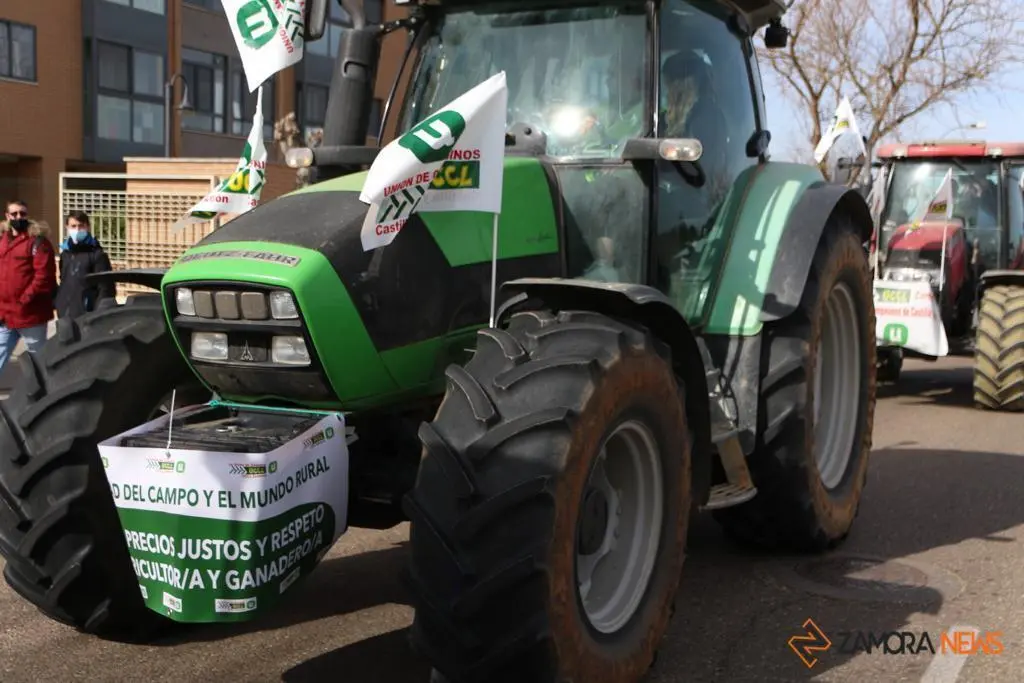 Manifestación UCCL 1