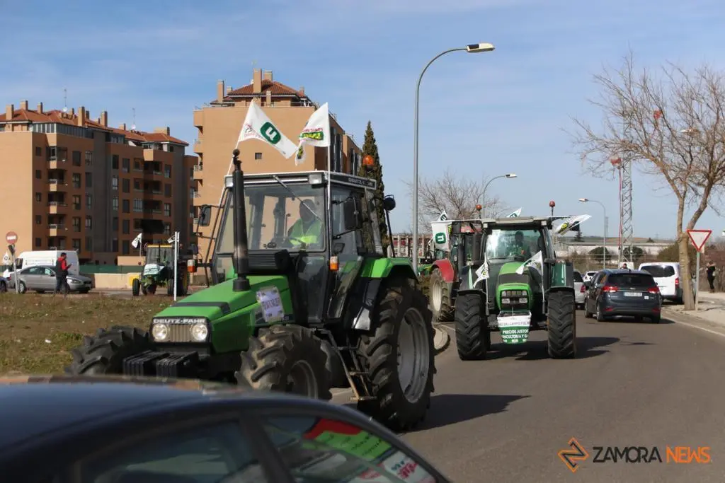 Manifestación UCCL 3
