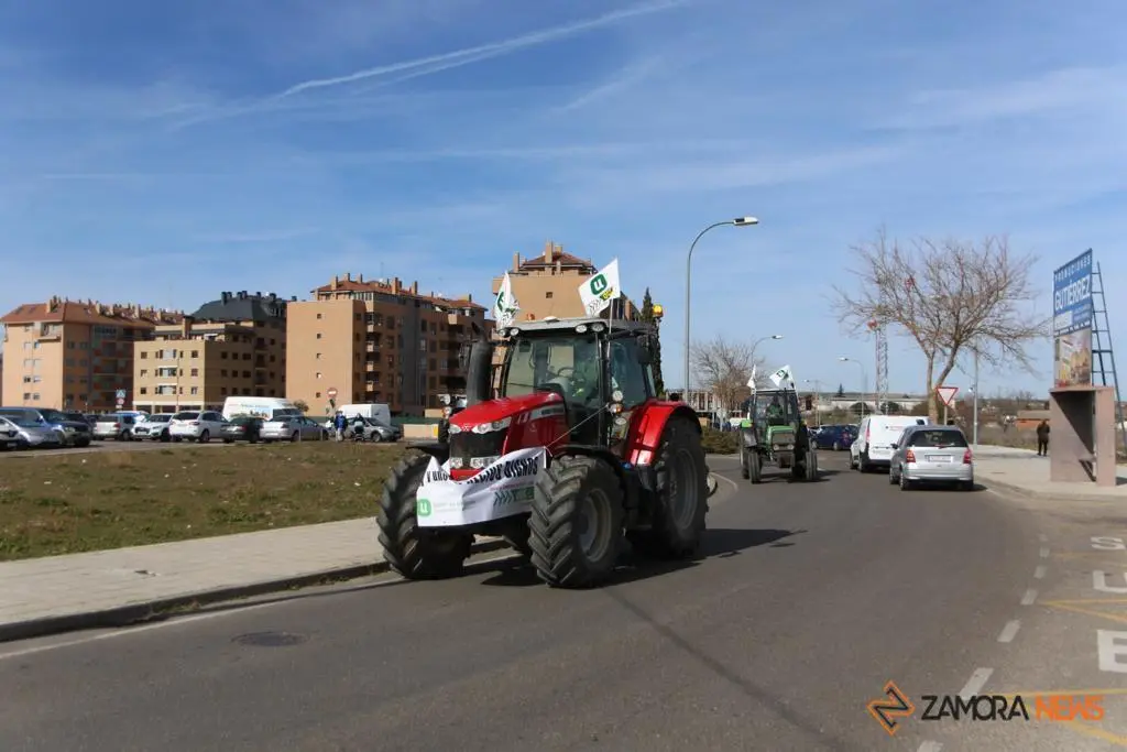 Manifestación UCCL 5