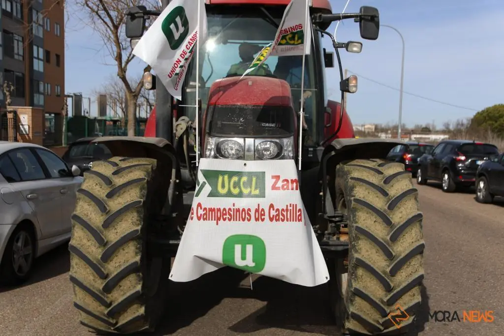 Manifestación UCCL 7