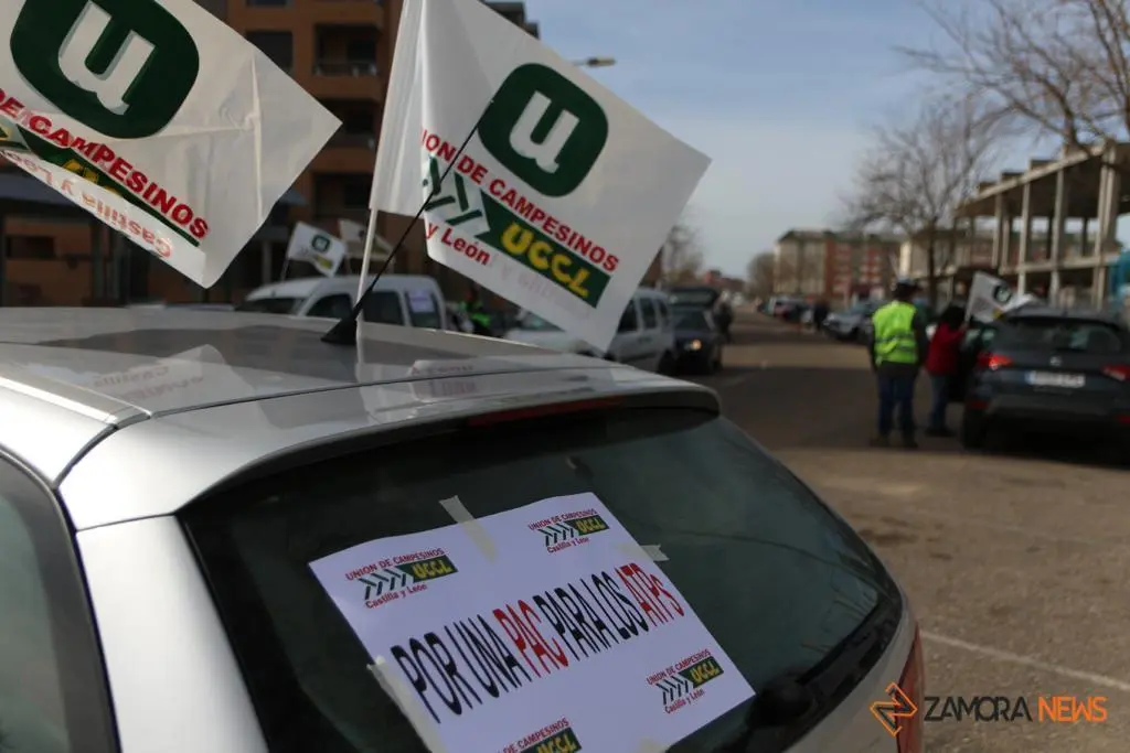 Manifestación UCCL 8