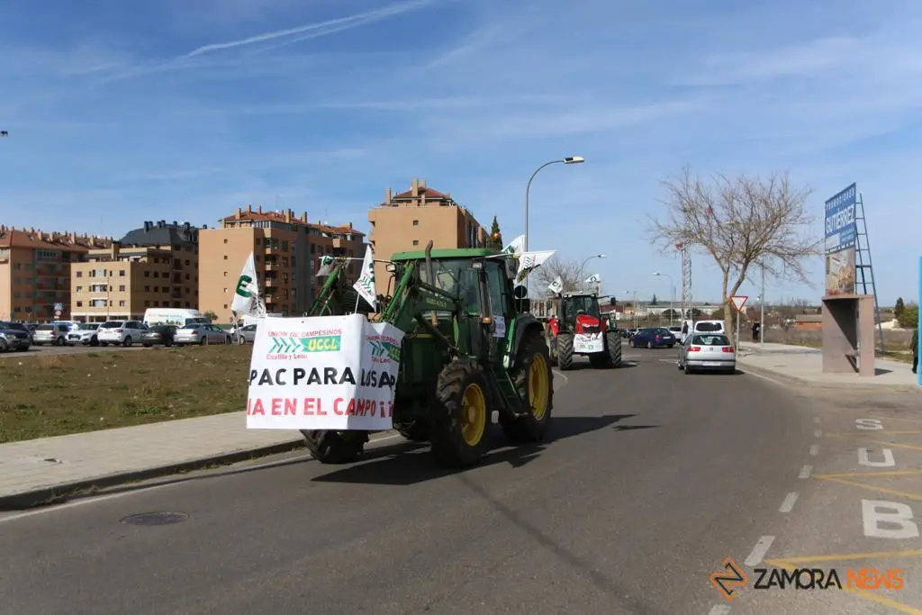 Manifestación UCCL 9